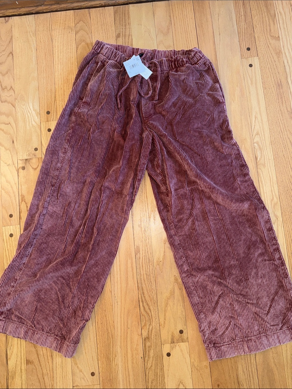 American Eagle Outfitters Corduroy Drawstring Pants in Dusty Rose